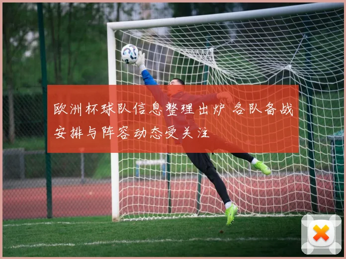 欧洲杯球队信息整理出炉 各队备战安排与阵容动态受关注