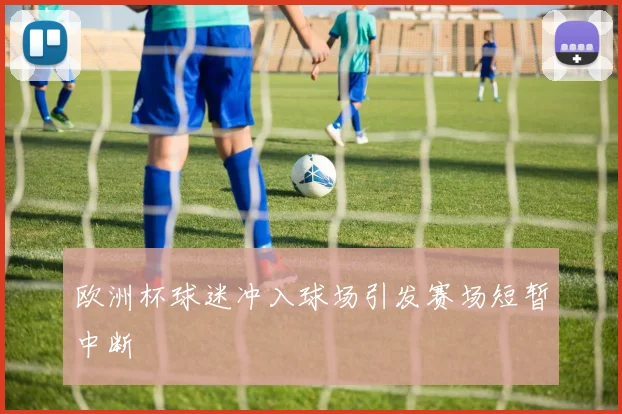 欧洲杯球迷冲入球场引发赛场短暂中断