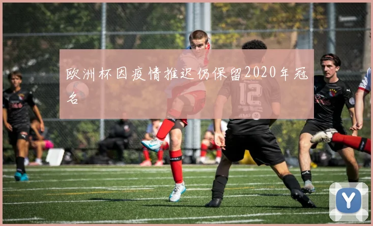 欧洲杯因疫情推迟仍保留2020年冠名